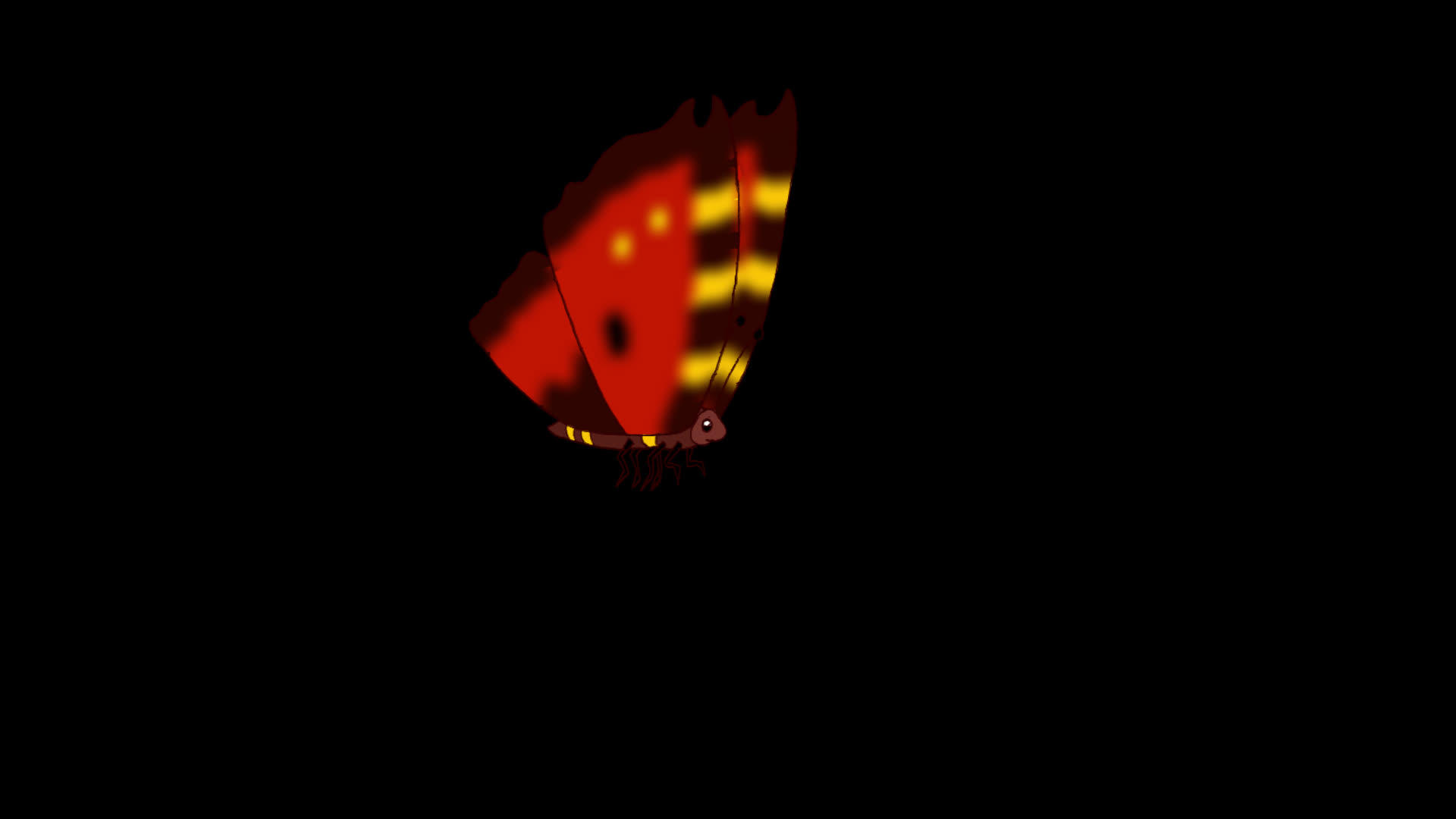 红色蝴蝶苍蝇阿尔法环视频的预览图