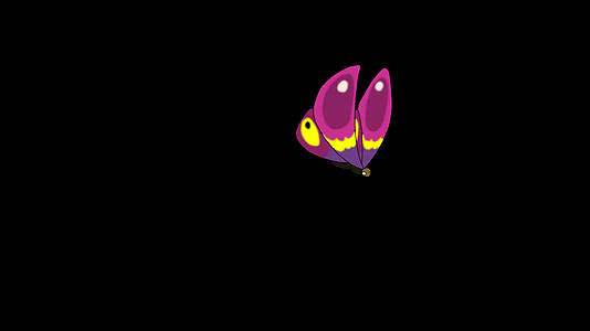 粉红色的蝴蝶飞进来飞走了视频的预览图