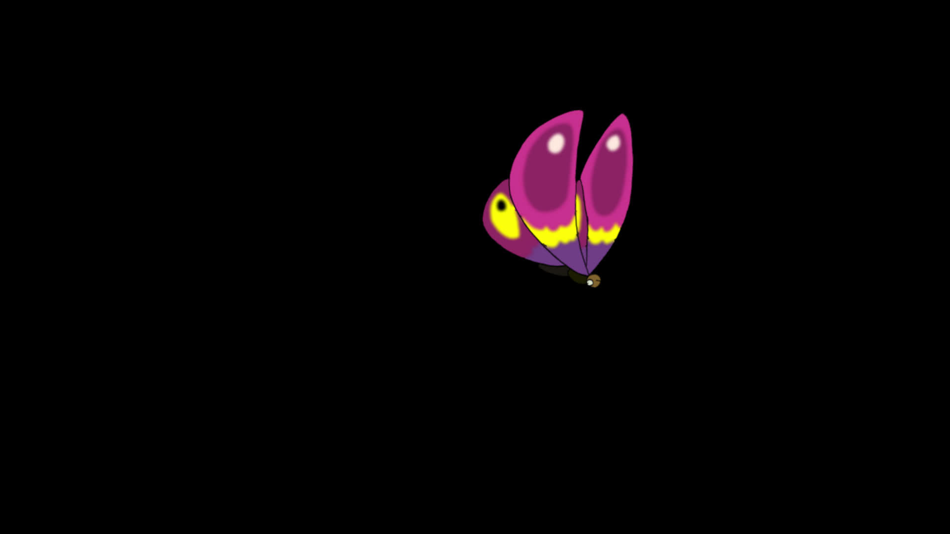 粉色蝴蝶飞回阿尔法视频的预览图