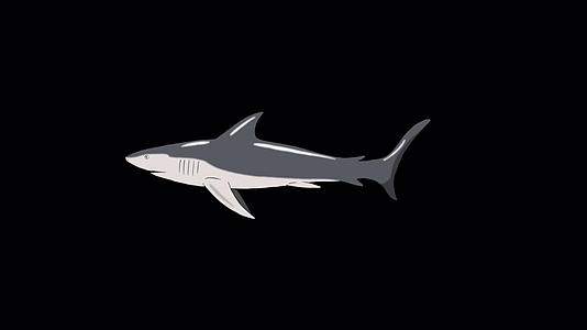 参观阿尔法马特的灰鲨视频的预览图