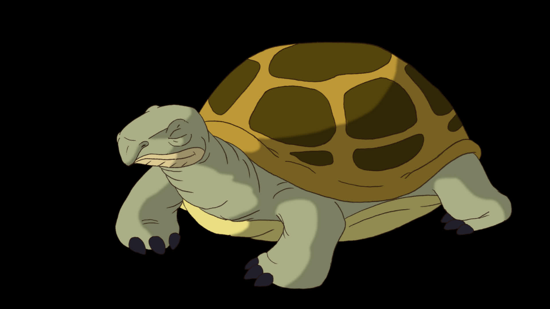 沼泽海龟从壳里偷看后面的阿尔法队友视频的预览图
