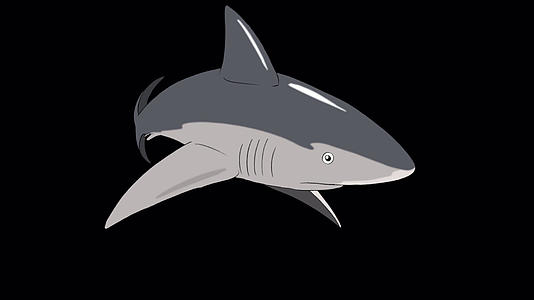 灰鲨攻击阿尔法马特视频的预览图