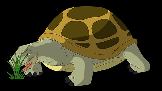 大黄象海龟吃草视频的预览图