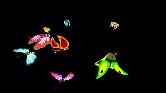 五颜六色的蝴蝶从各个方向飞向阿尔法队友视频的预览图