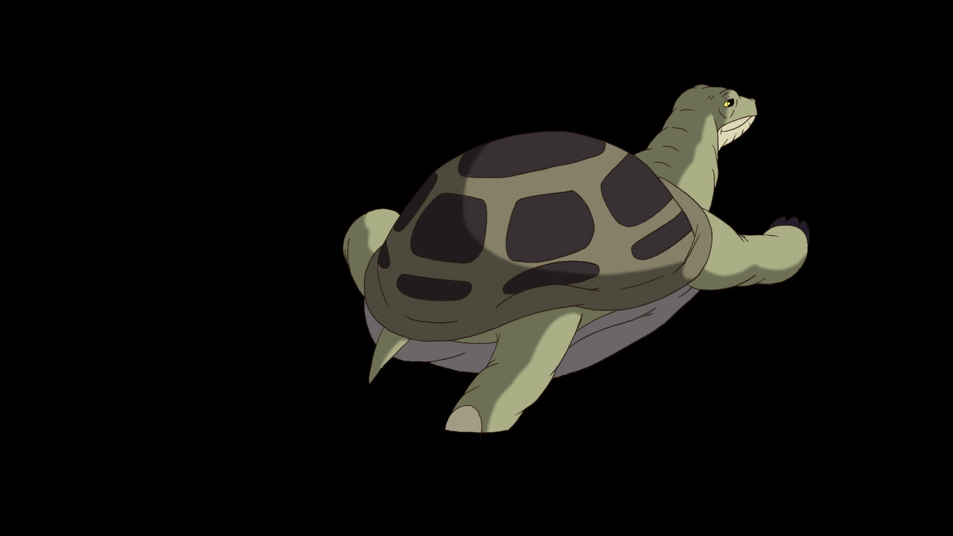 大绿海龟从沙子或水中爬出来视频的预览图