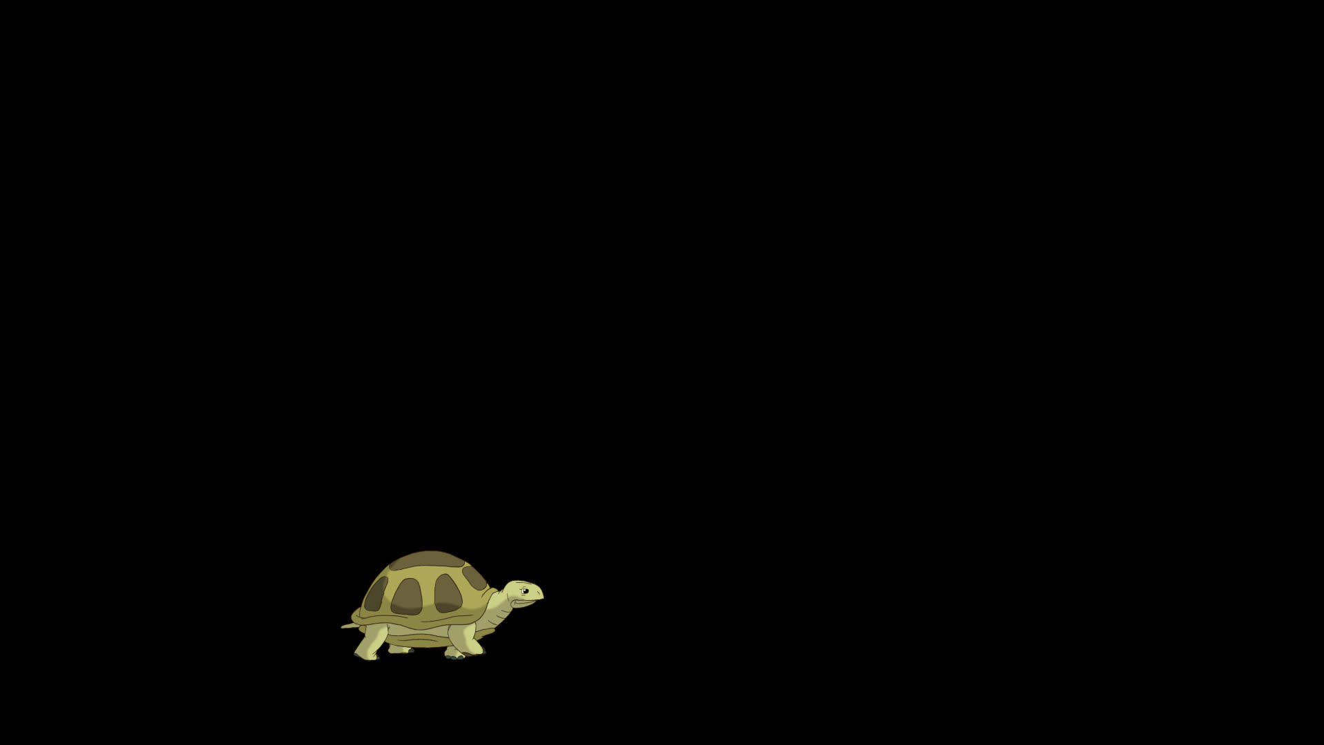 小沼泽龟变甲型视频的预览图