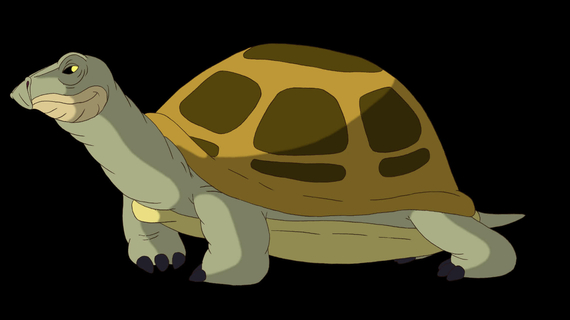 大沼泽海龟嗅阿尔法视频的预览图