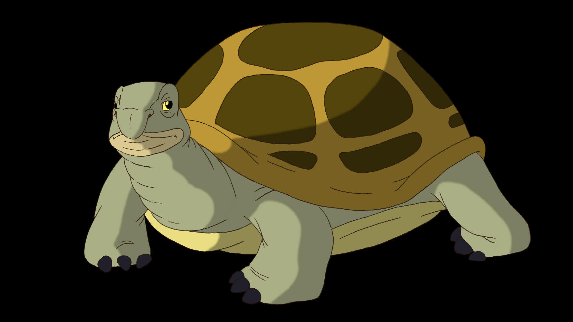 大沼泽海龟环顾阿尔法兄弟视频的预览图
