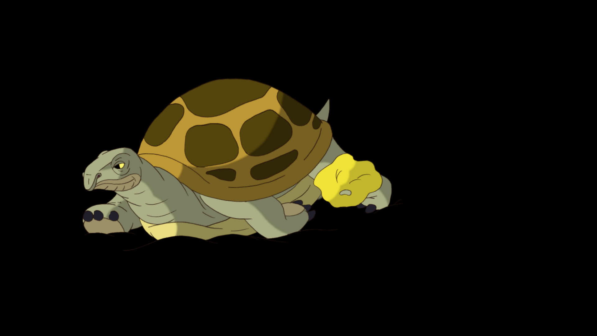 大沼泽海龟被埋在沙尘中视频的预览图