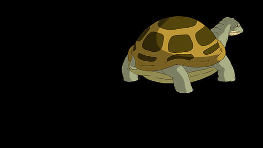 大沼泽海龟从沙子或水中爬出来视频的预览图