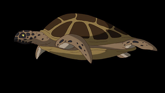大沼泽海龟在水下游泳视频的预览图