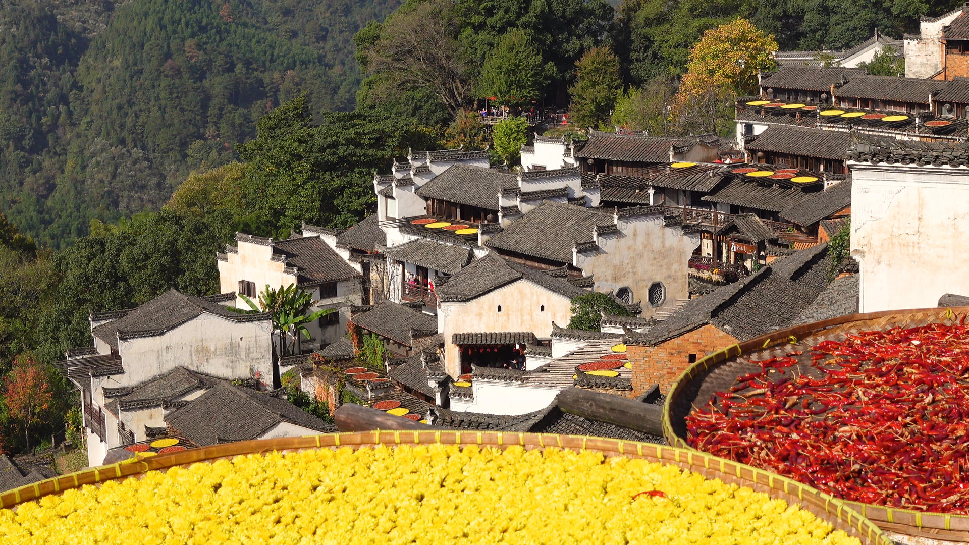 中国最美乡村江西婺源篁岭景区秋天晒秋现场4k旅游素材视频的预览图