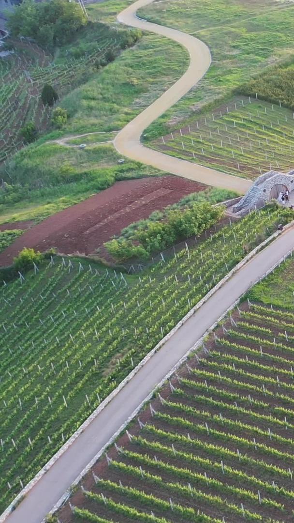 葡萄产业园航拍葡萄酒庄酒庄视频的预览图