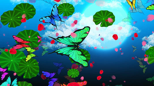 4K唯美的水面蝴蝶飞舞背景素材视频的预览图