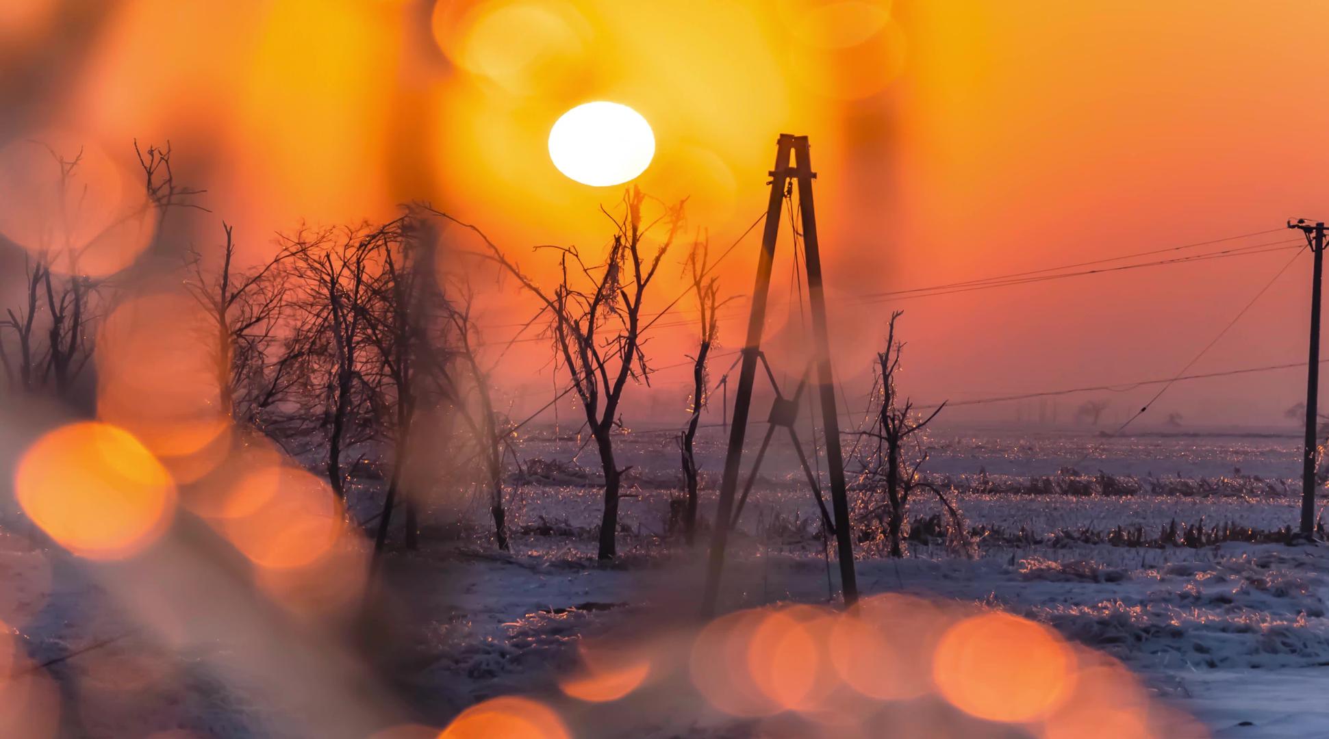 虚化前景冬季的夕阳落日视频的预览图