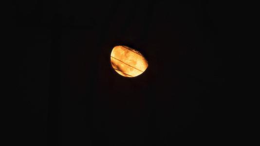 8K黄月亮升起视频的预览图