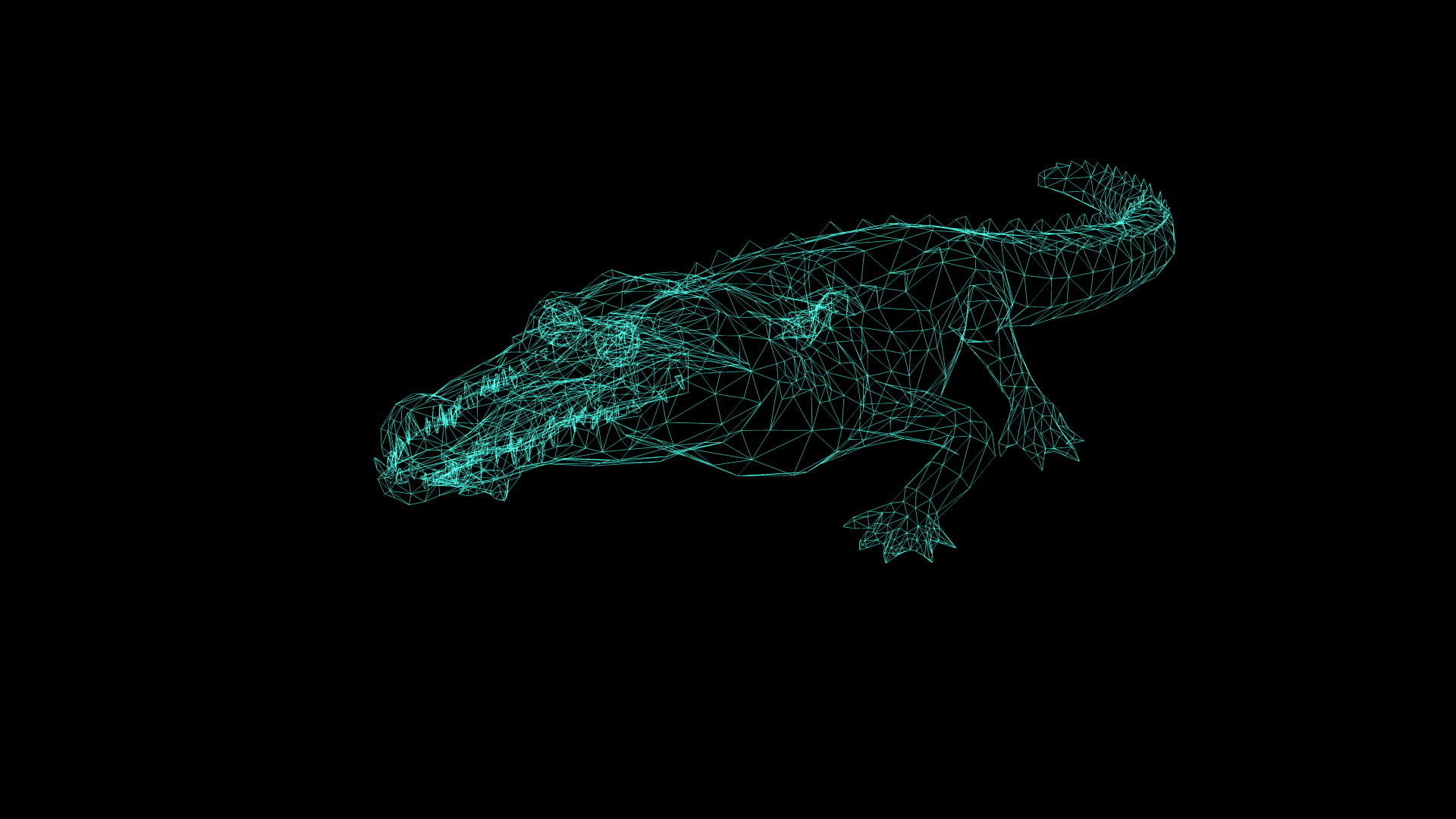 黑色背景鳄鱼攻击线框动画视频的预览图