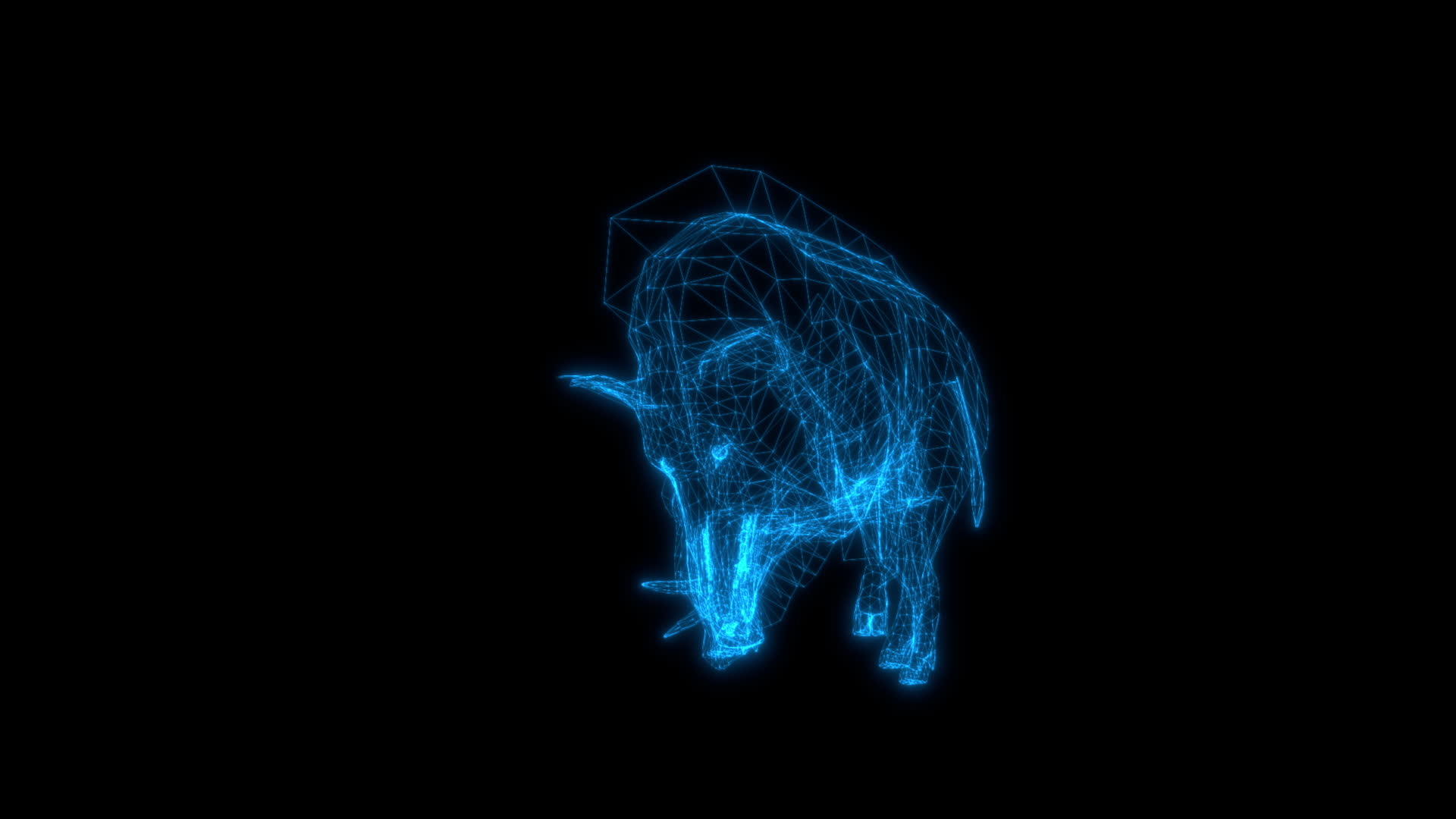 黑色背景野生野猪攻击线框动画视频的预览图