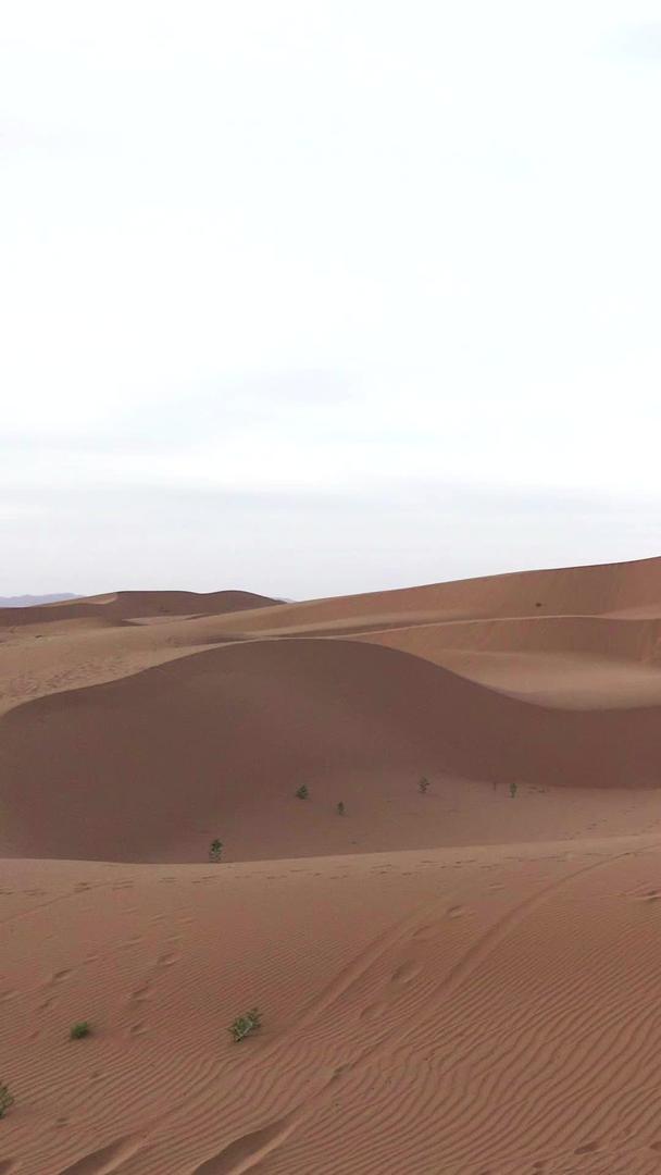 宁夏沙坡头5A景区沙漠视频的预览图