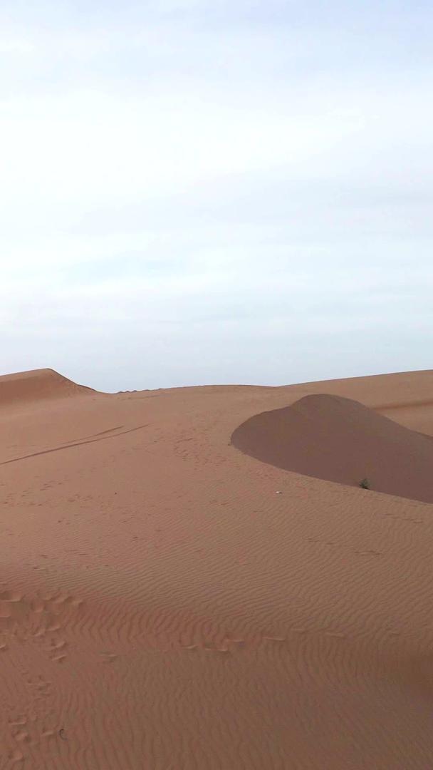 宁夏沙坡头5A景区沙漠视频的预览图