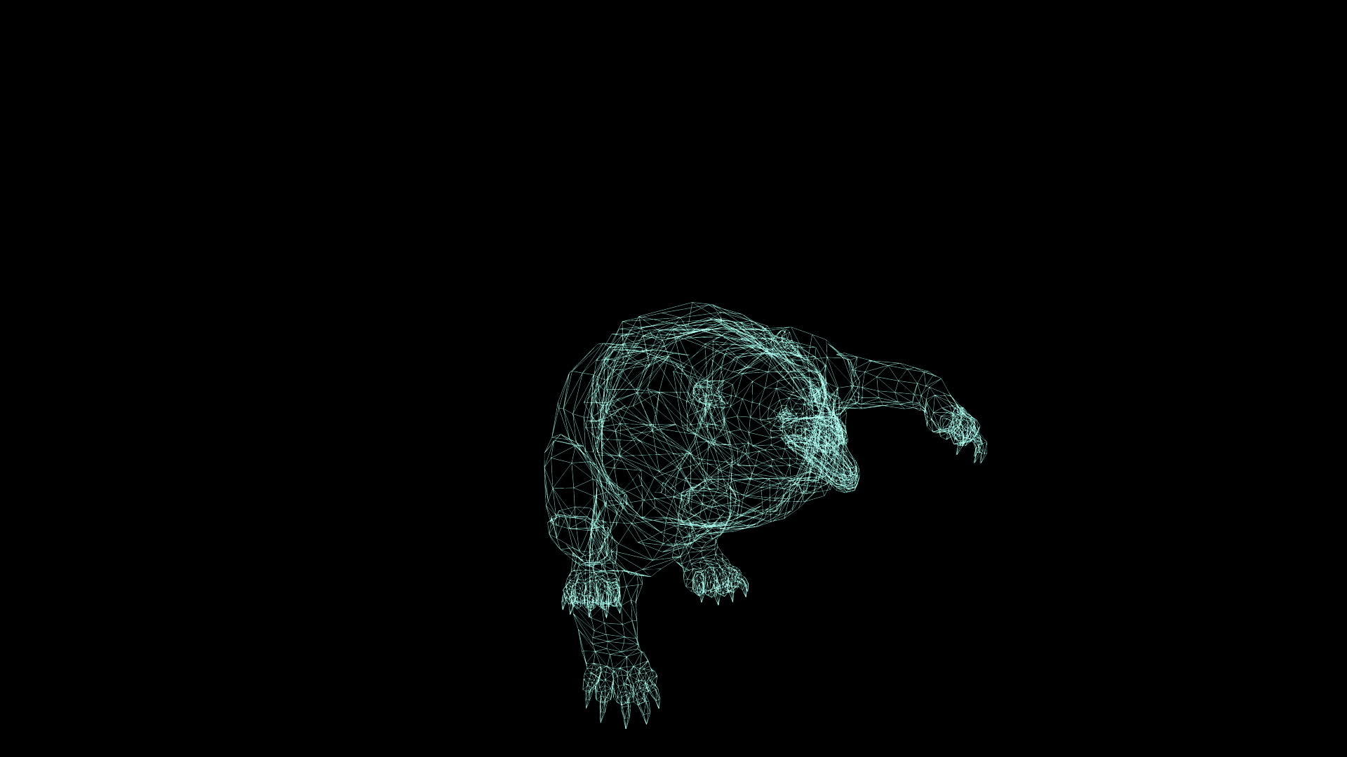 黑色背景熊攻击的电线框架动画视频的预览图