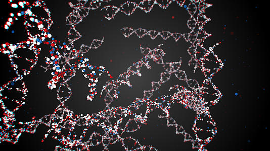DNA序列 视频的预览图
