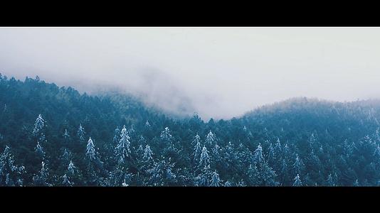 航拍阳明山雾凇雪山松树森林公园视频的预览图