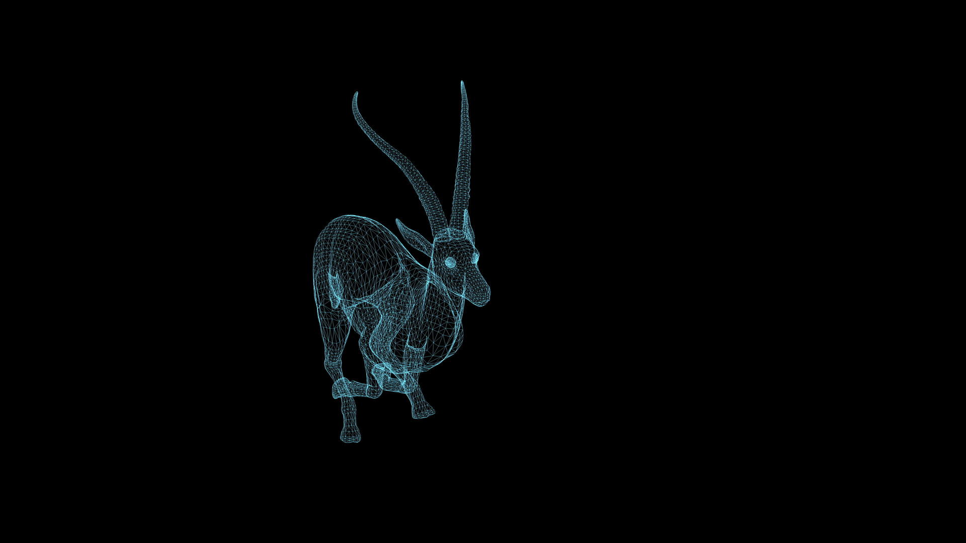 在黑色背景上快速运行的瞪羚速度动画线框架视频的预览图