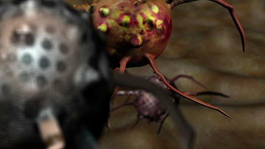 流感细胞插图动画视频的预览图