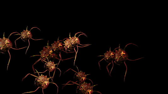 流感细胞插图动画视频的预览图