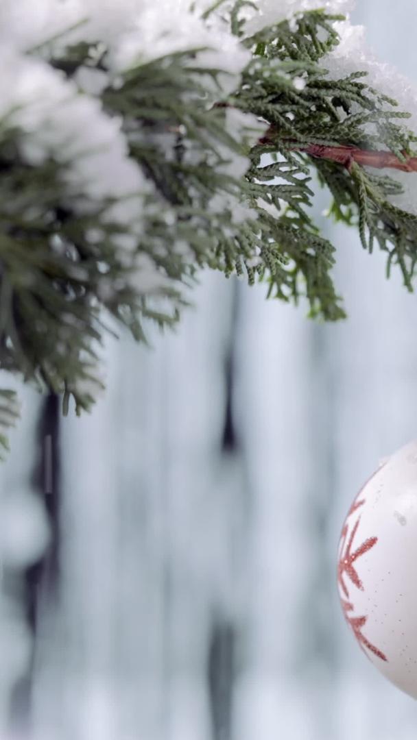 雪中松树林圣诞装饰球节日视频的预览图