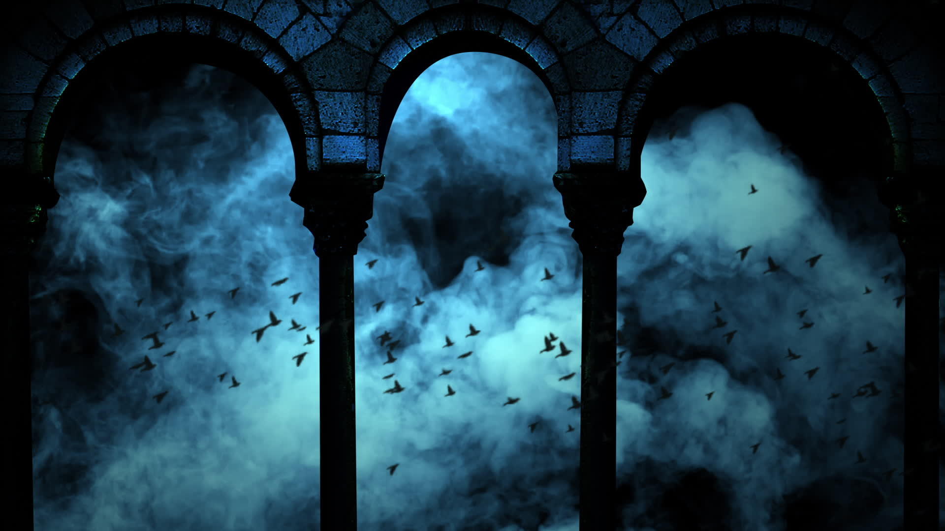 鸟儿在黑暗的蓝色夜空中飞翔视频的预览图