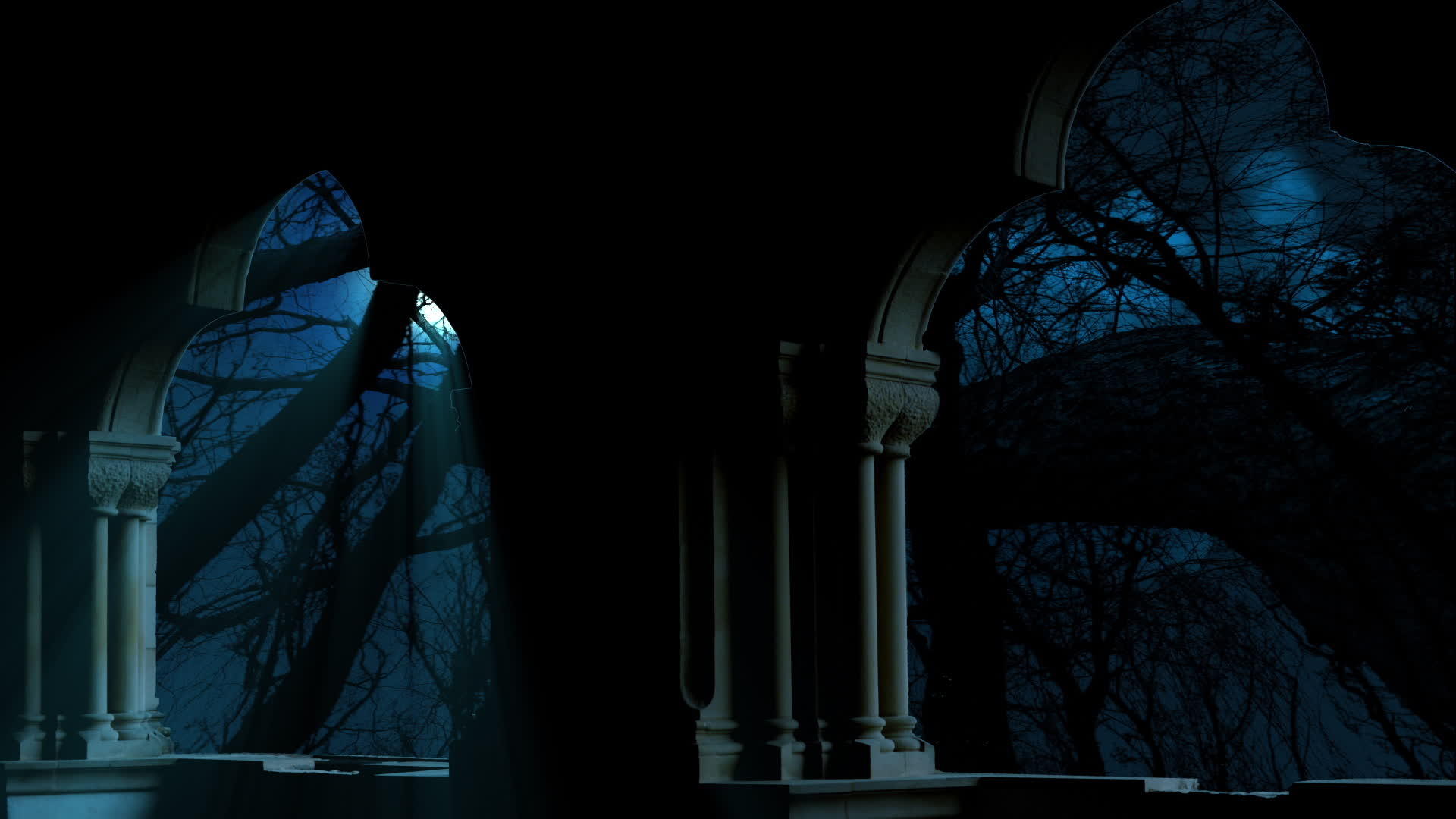 满月在黑暗的蓝色夜空中升起视频的预览图