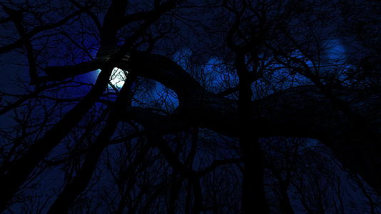 满月在黑暗的蓝色夜空中升起视频的预览图