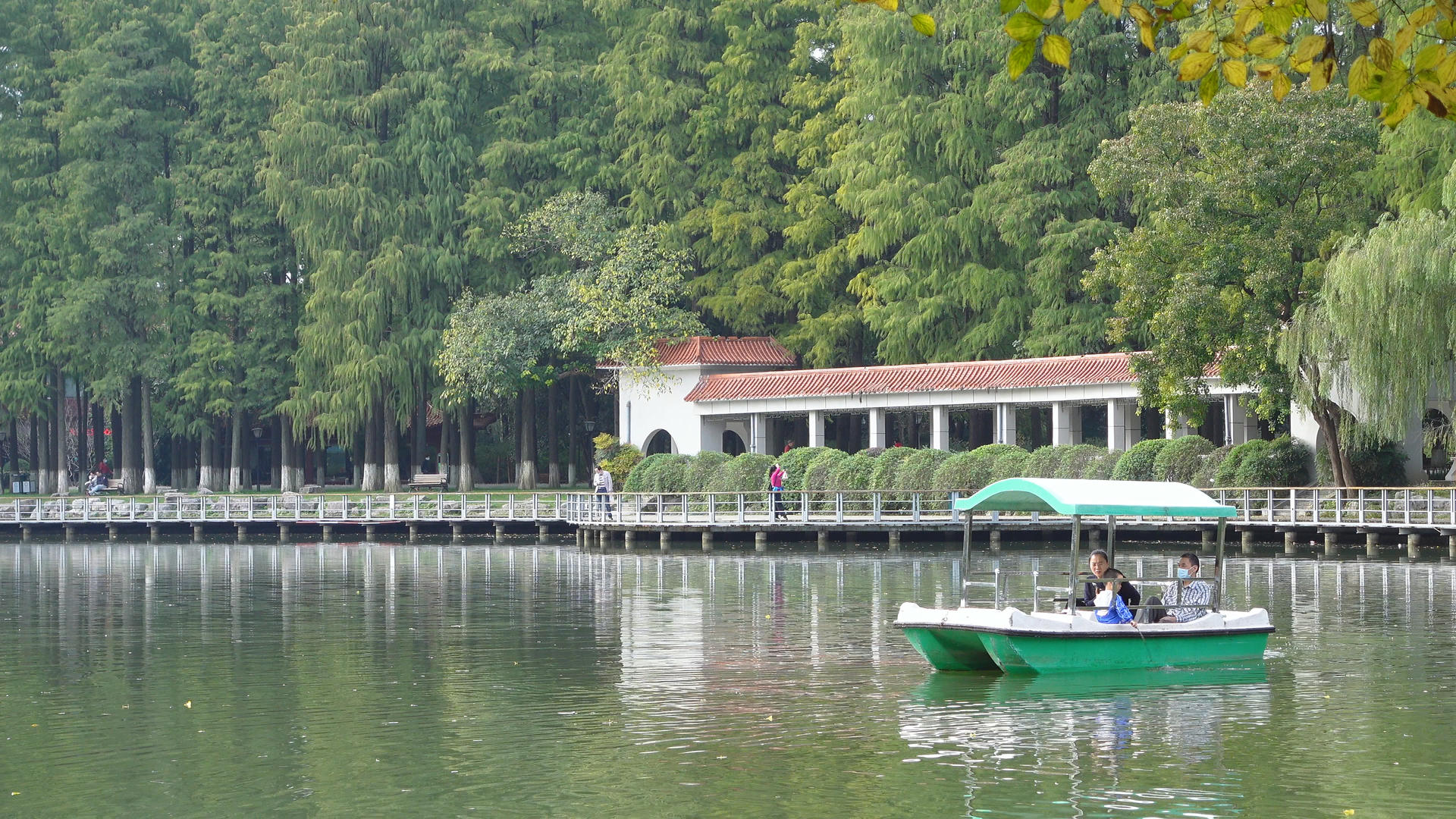 城市公园人工湖上划船休闲娱乐4k旅游素材视频的预览图