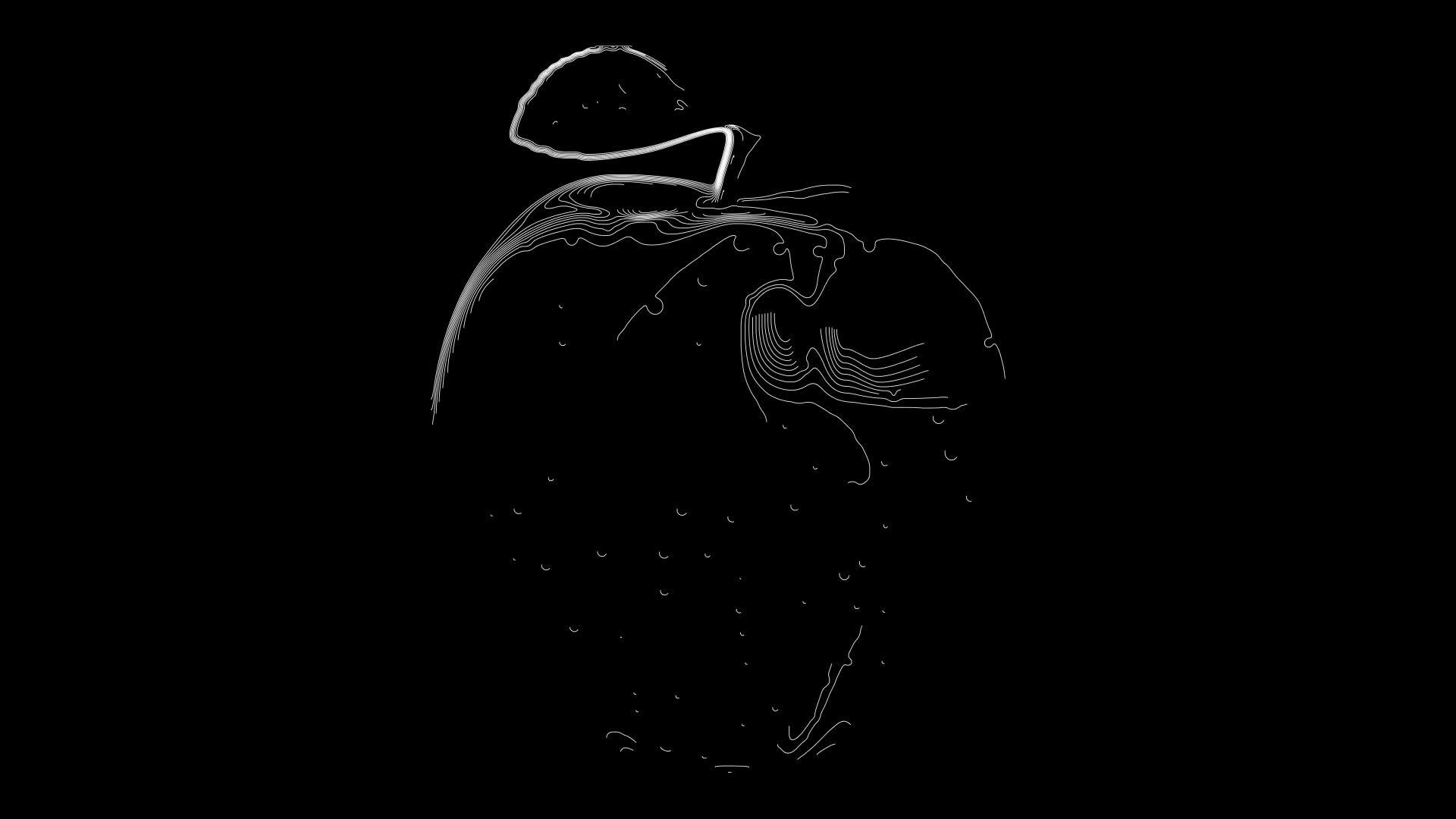苹果地形轮廓动画的黑色背景视频的预览图
