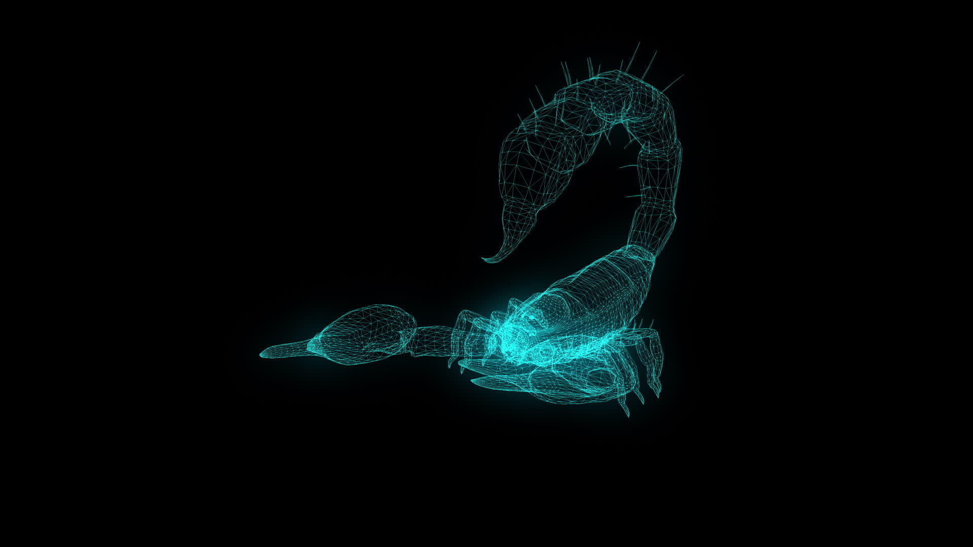 具有侵略性的姿势线框架的森林蝎子视频的预览图
