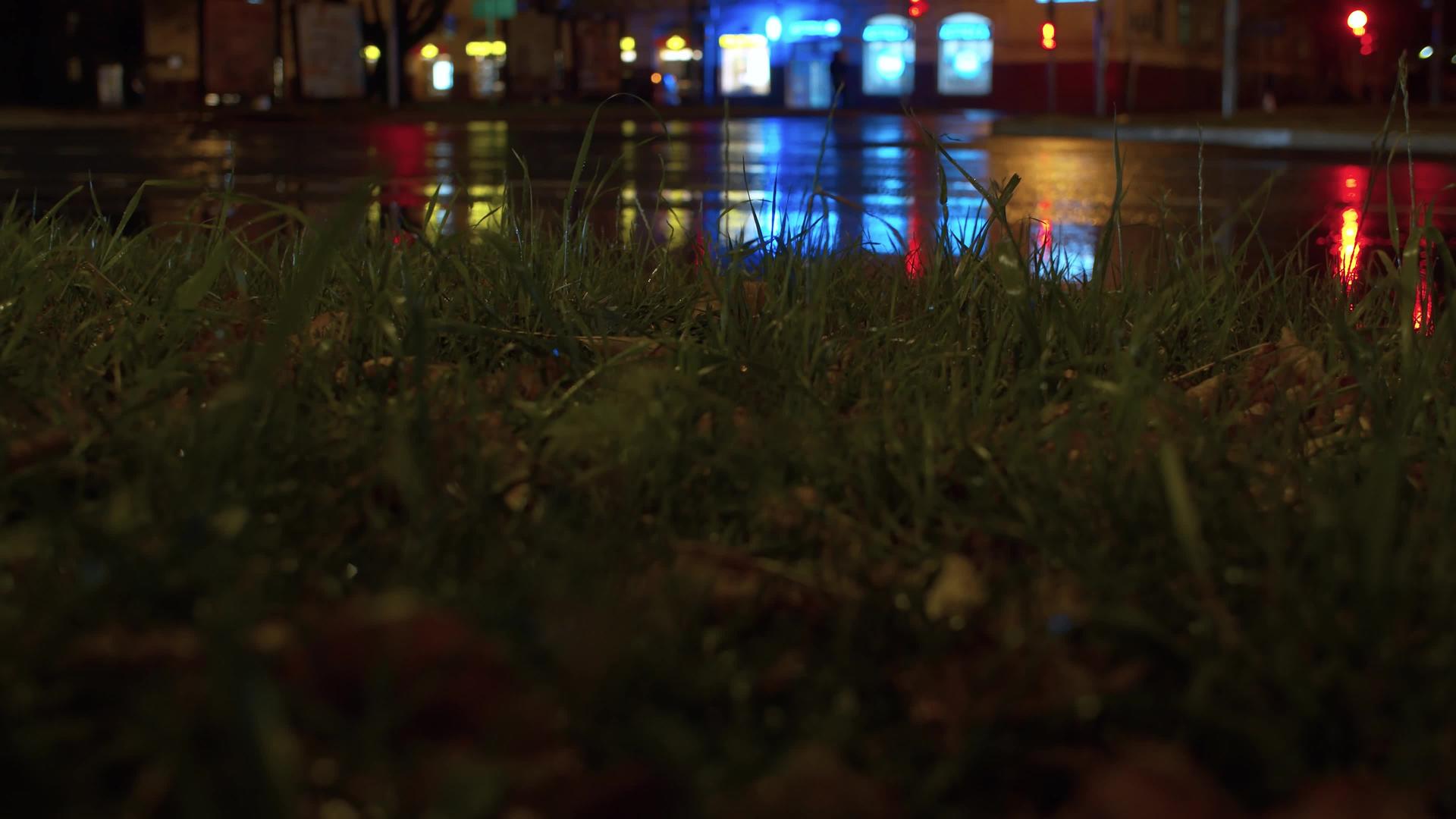 夜间交通灯照亮了草地上的雨滴视频的预览图