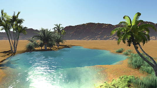 沙漠绿洲3d动画视频的预览图