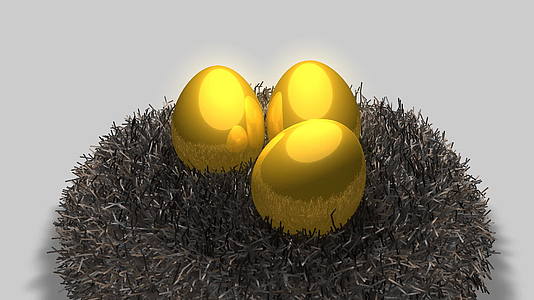 动物胎儿金蛋和巢概念价值视频的预览图