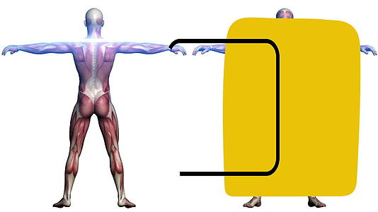 在人体解剖学背景视频中以最低限度的艺术运动风格绘制黄色视频的预览图