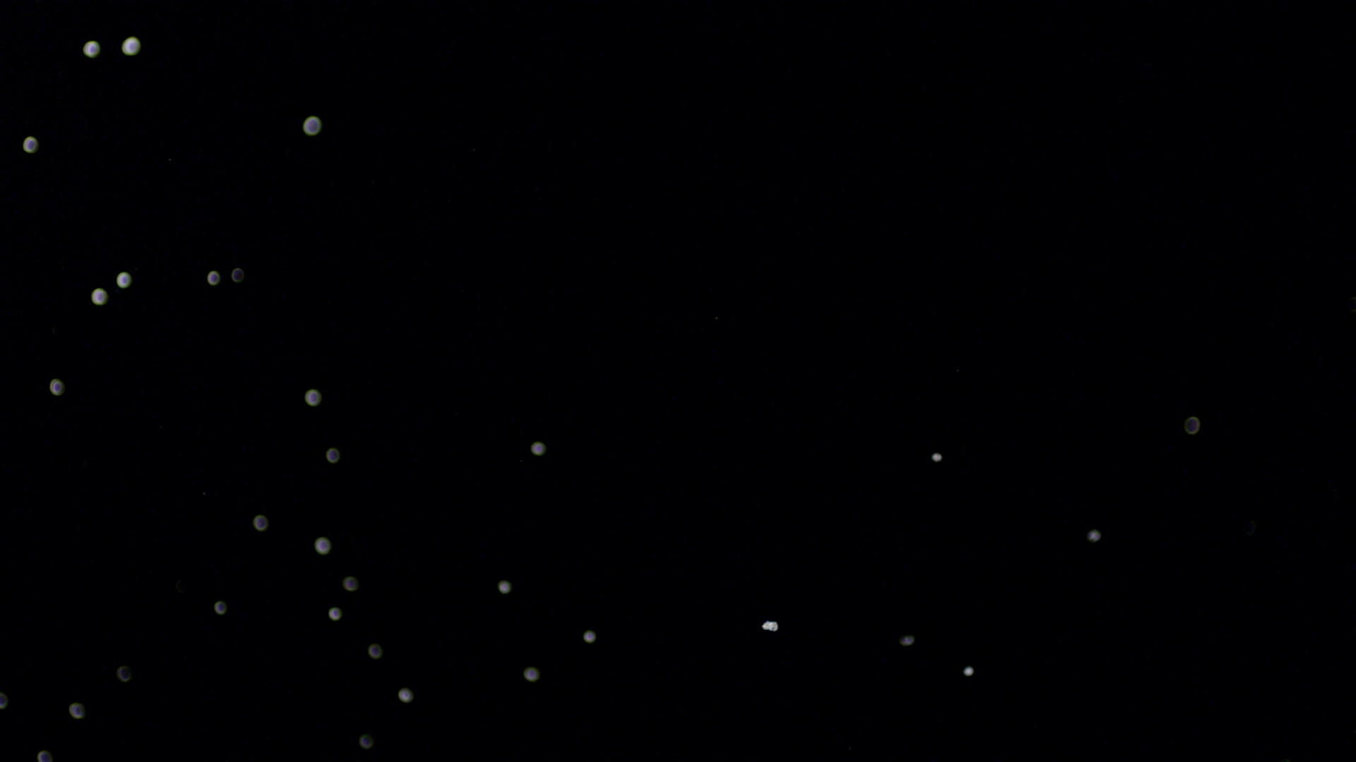 无焦点飞行泡沫黑色背景视频的预览图