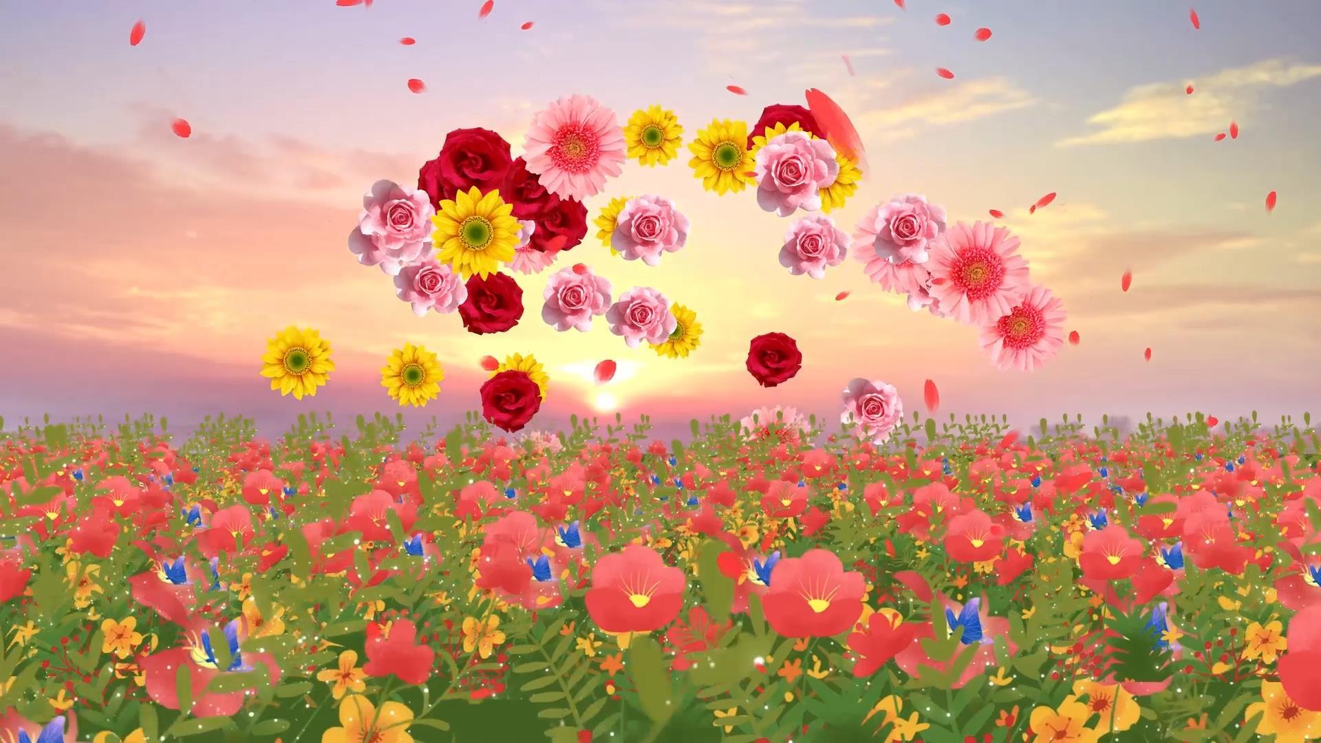 红色大气唯美花海动态粒子花朵放射背景视频素材视频的预览图