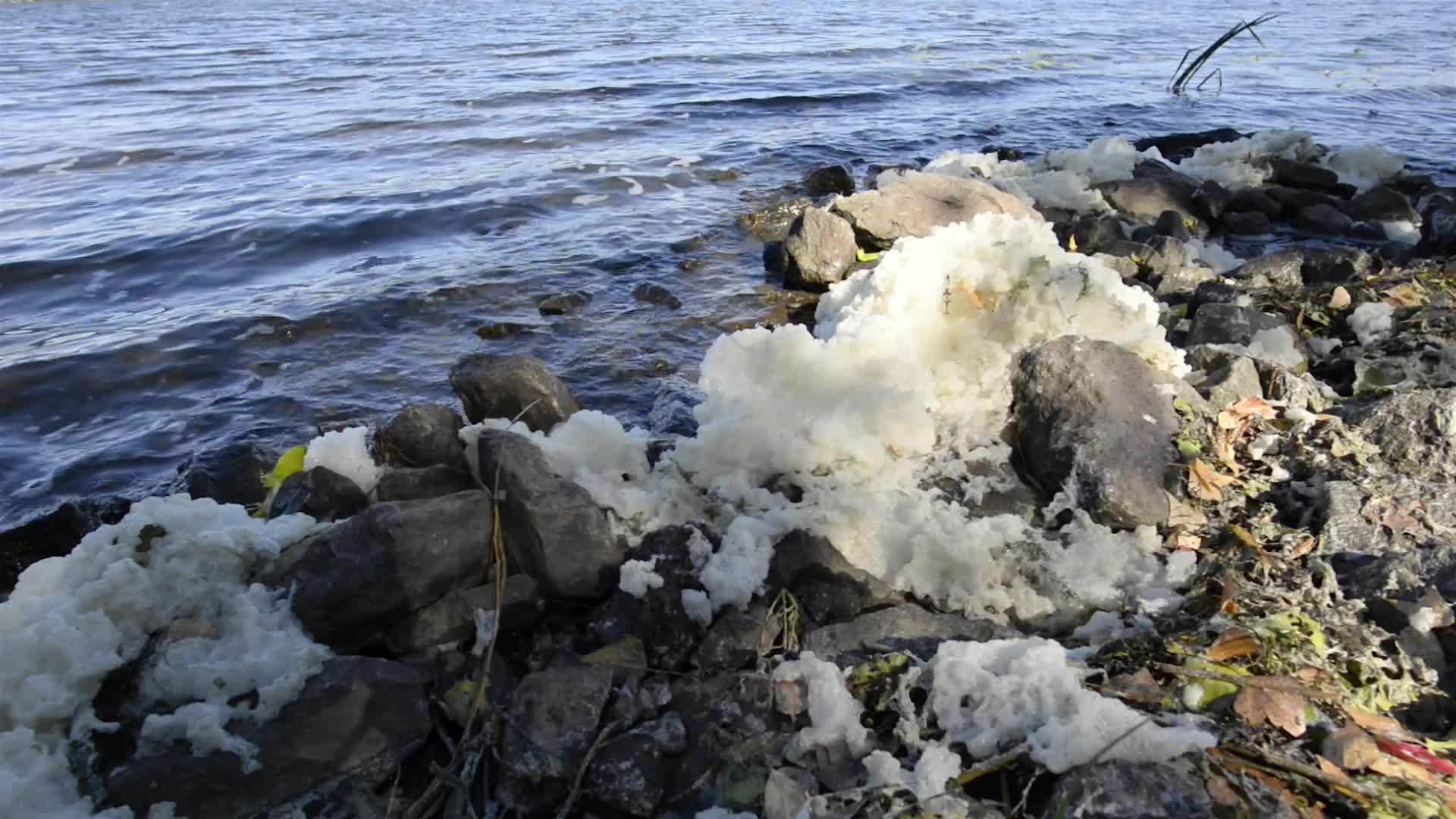 河流中的泡沫污染视频的预览图
