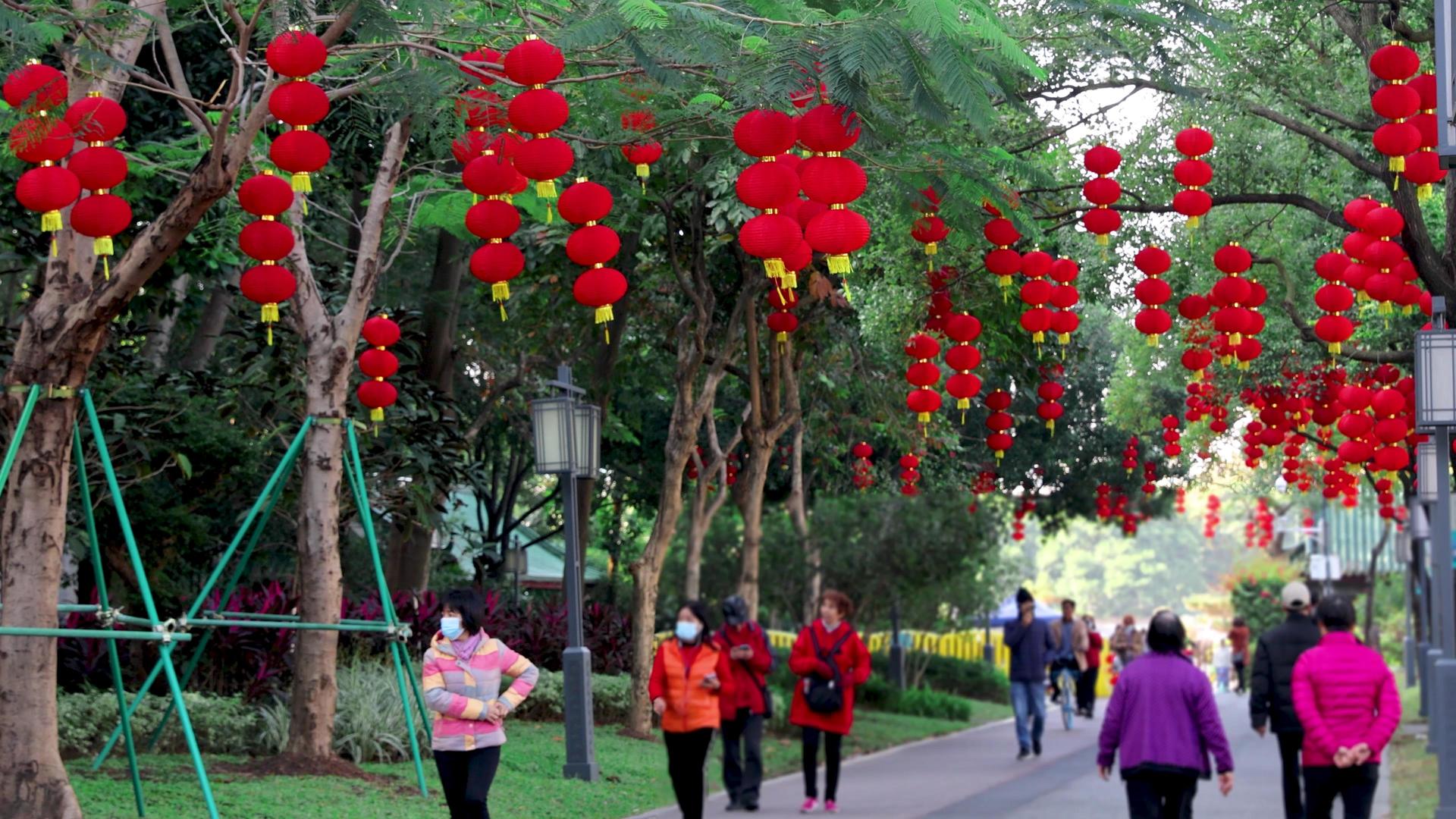 新春中国年春节街道红红火火灯笼视频的预览图