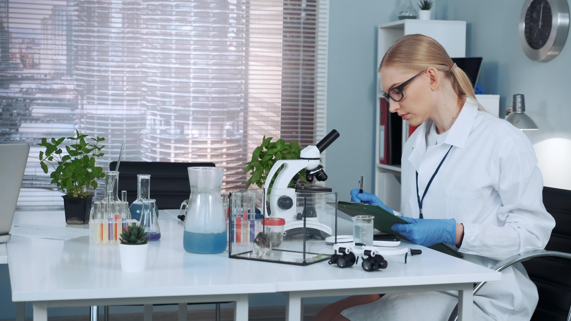 聪明的女性化学科学家写实验室外套的实验结果视频的预览图