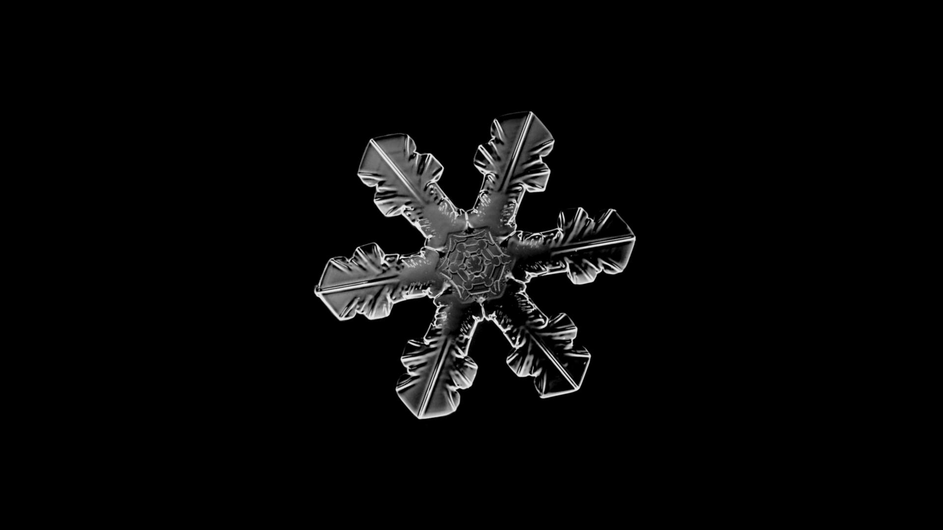 冬日雪花带通道小元素视频的预览图