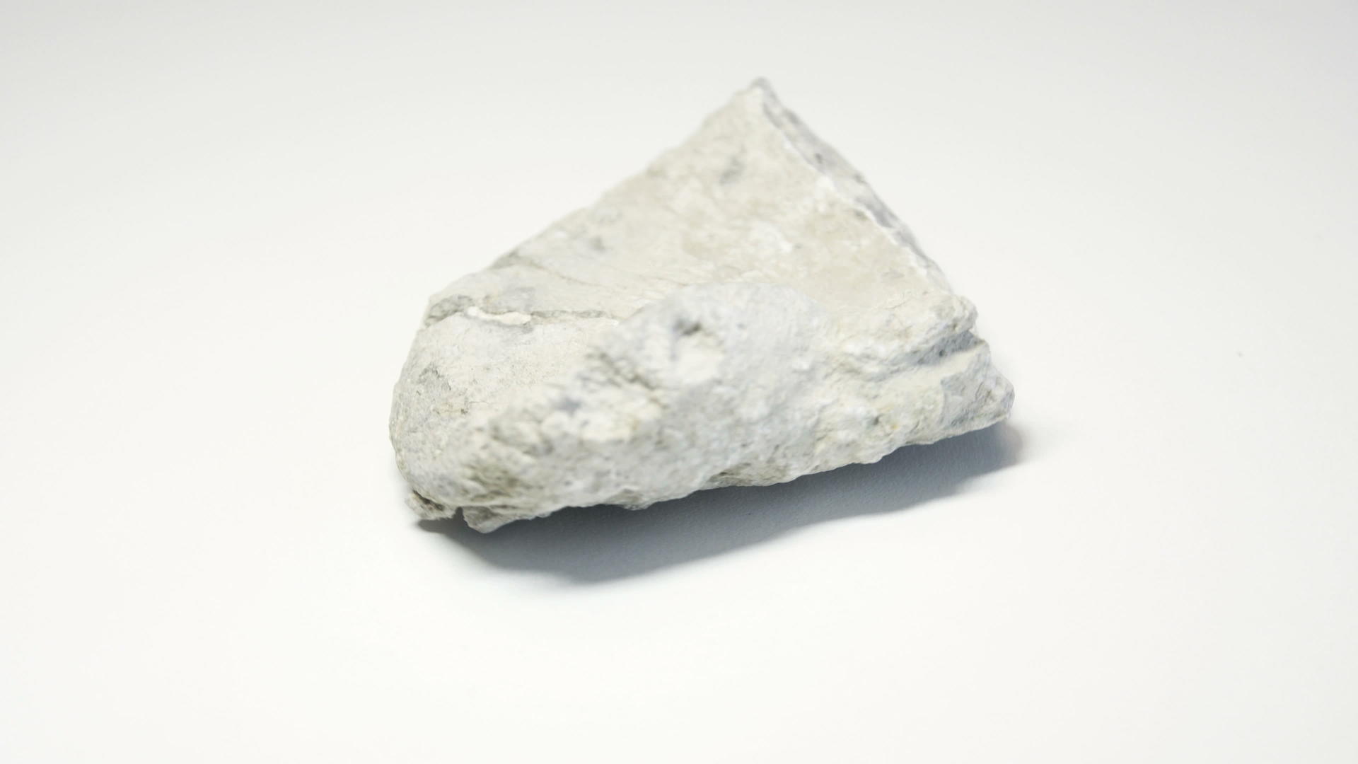 无脊椎骨化石的详细细节用白色背景表示视频的预览图