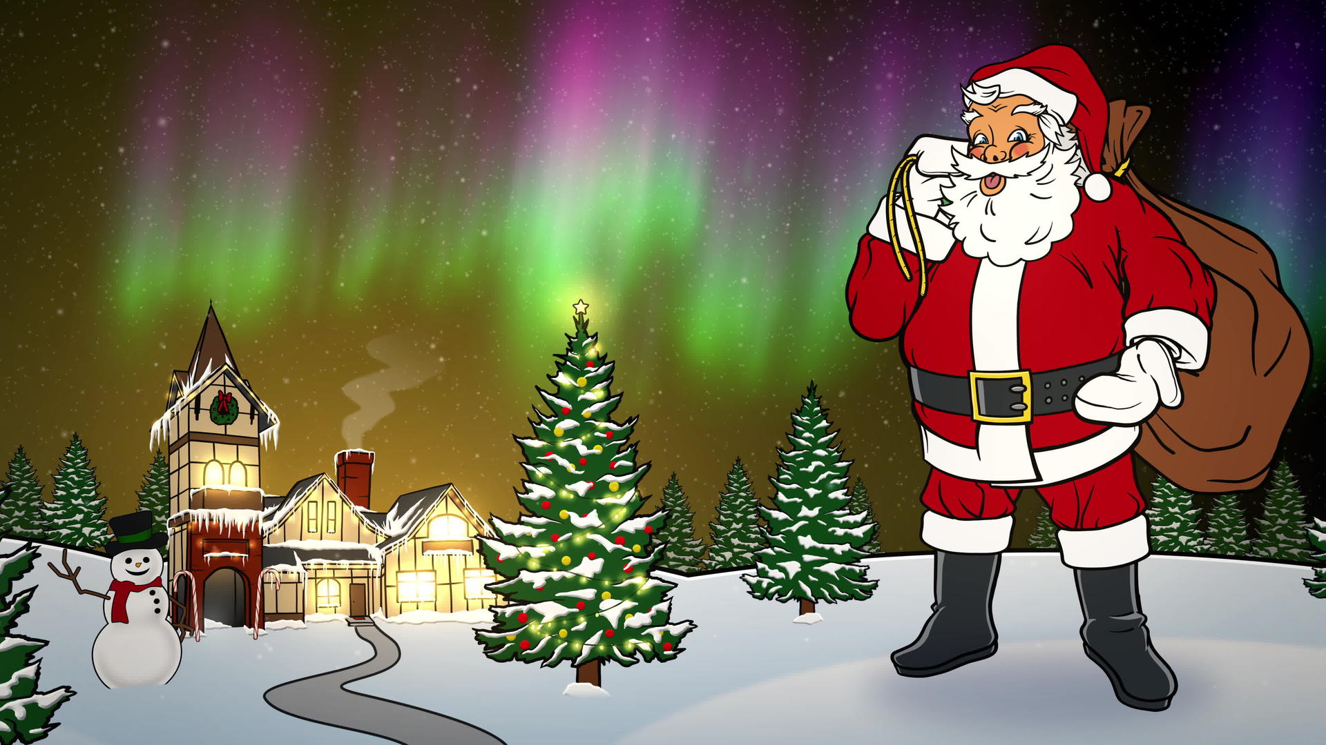 圣诞老人在北极光下视频的预览图