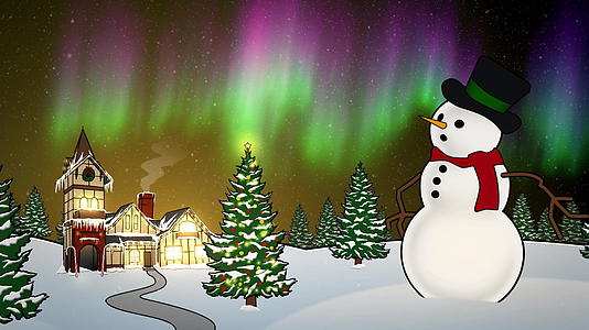 夜间北极动画雪人视频的预览图